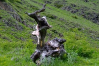 DSCF2790