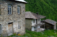 DSCF2796