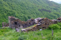 DSCF2797