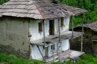 DSCF2798