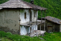 DSCF2800