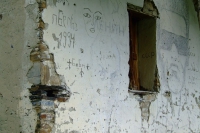 DSCF2819