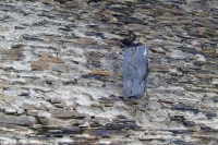 DSCF2821