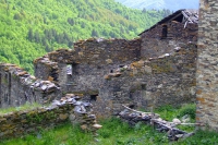 DSCF2822