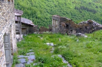 DSCF2825