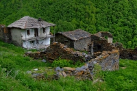 DSCF2828