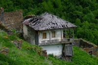 DSCF2831