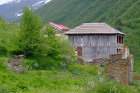 DSCF2833