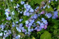 DSCF2834