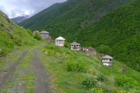 DSCF2835