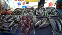 Fish market in Marsaxlokk, Malta