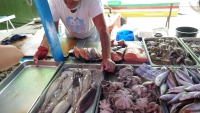 Fish market in Marsaxlokk, Malta