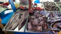 Fish market in Marsaxlokk, Malta