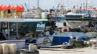 Boats in port Marsaxlokk, Malta