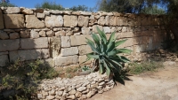 Malta