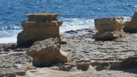Coast of Malta
