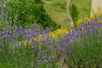 Morella, Castellon