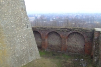 DSCF8429