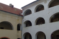 DSCF8446