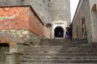 DSCF8447