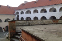 DSCF8449