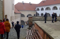 DSCF8450