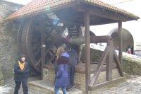DSCF8452