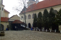 DSCF8461