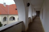 DSCF8480