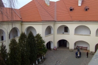 DSCF8482