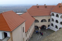 DSCF8493