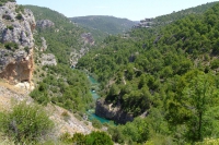 DSCF1894