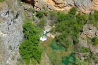DSCF1907