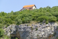 DSCF1910