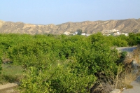 DSCF2514