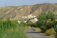 DSCF2517