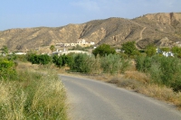 DSCF2520