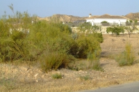 DSCF2537