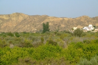 DSCF2547