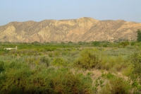 DSCF2548