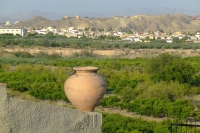 DSCF2553