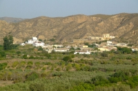 DSCF2556