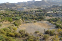 DSCF2561