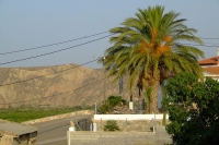 DSCF2563
