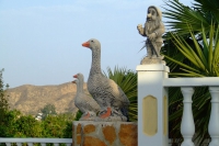 DSCF2568