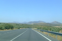 DSCF2595