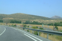DSCF2599