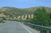 DSCF2602