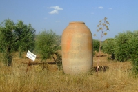 DSCF2635