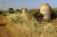 DSCF2636